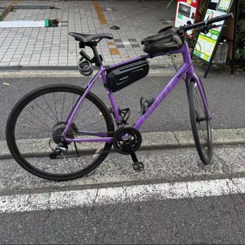 GIANT Escape RX 1 Disc