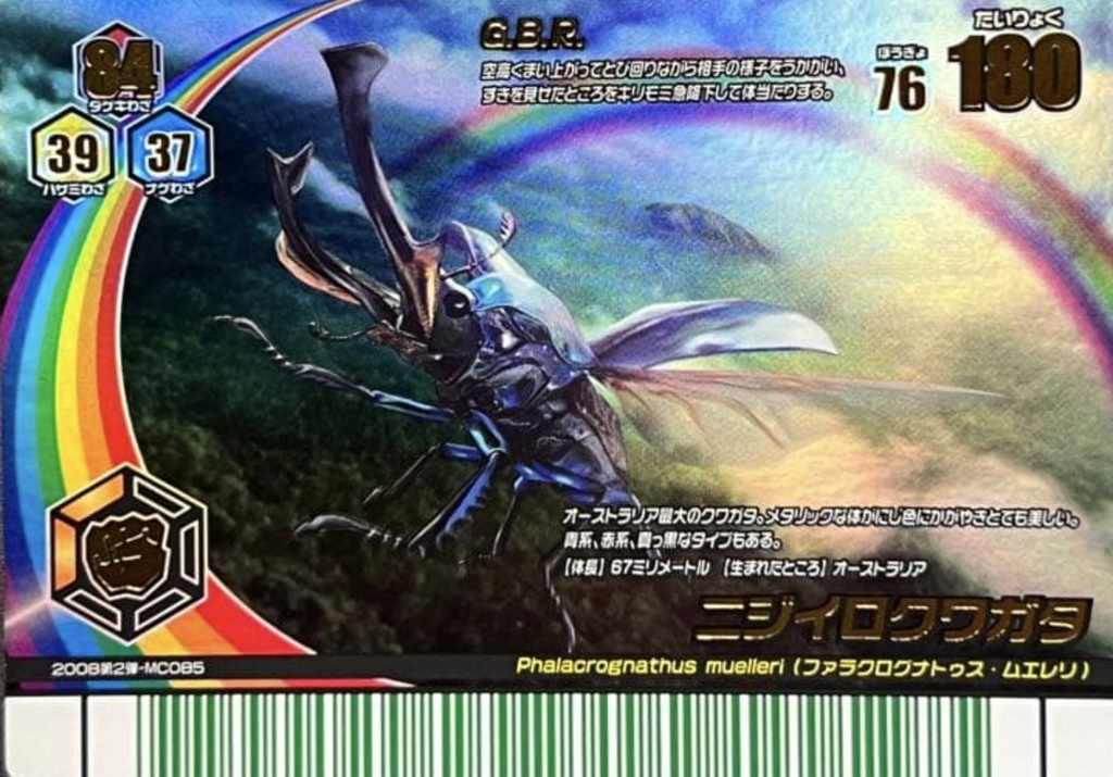 MCO85［レインボーレア］：ニジイロクワガタ（オレンジ）