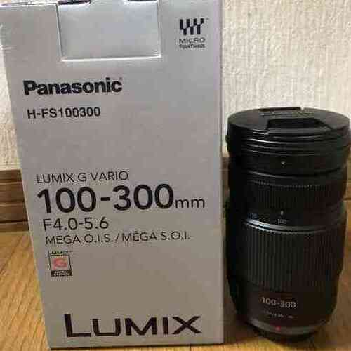 Panasonic カメラレンズ LUMIX G VARIO 100-300mm