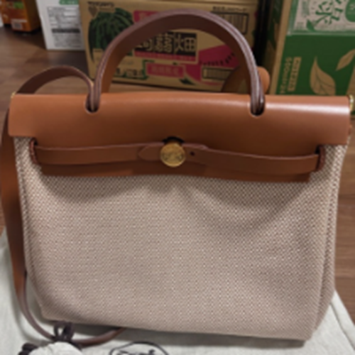 エールバックジップ31