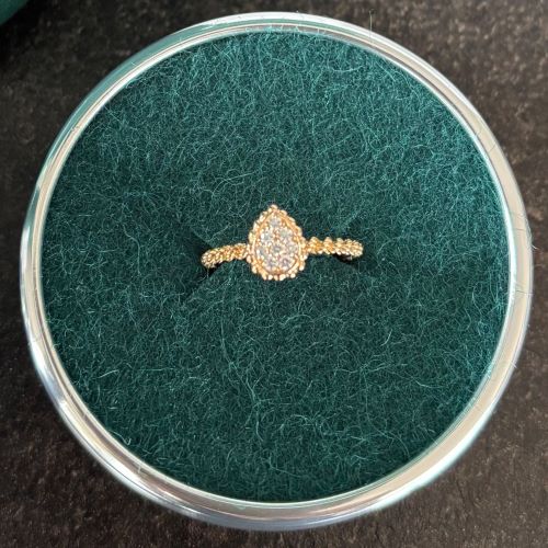 ブシュロン　セルパンボエムスモールPG