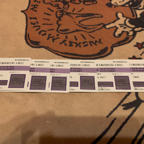 JR東日本株主優待券 6枚 有効期限2024年6月30日