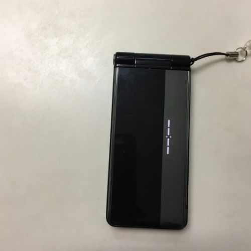 ドコモ携帯P-01G