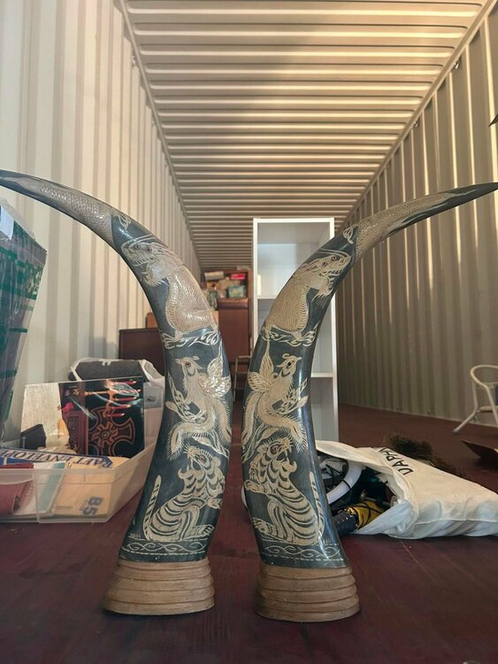 象牙