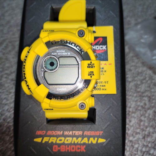 G-SHOCK その他 DW-8250