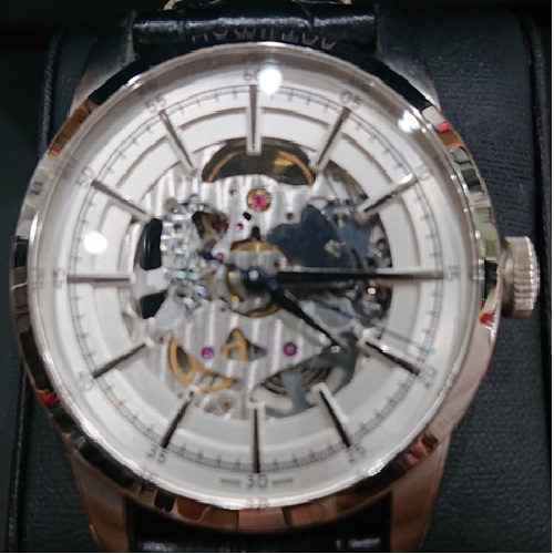 ハミルトン　レイルロードスケルトン