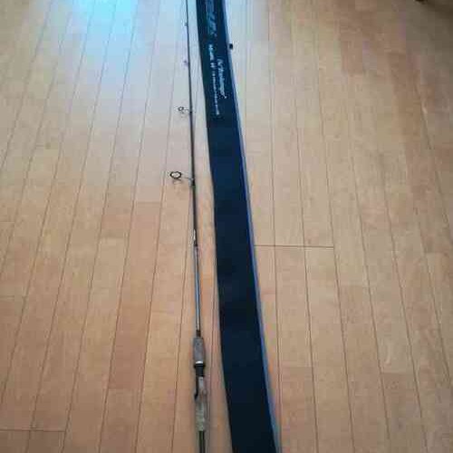 テムジン　ブラッシュスティンガー