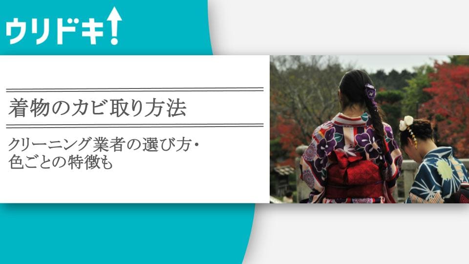 着物 カビ コレクション 臭い クリーニング