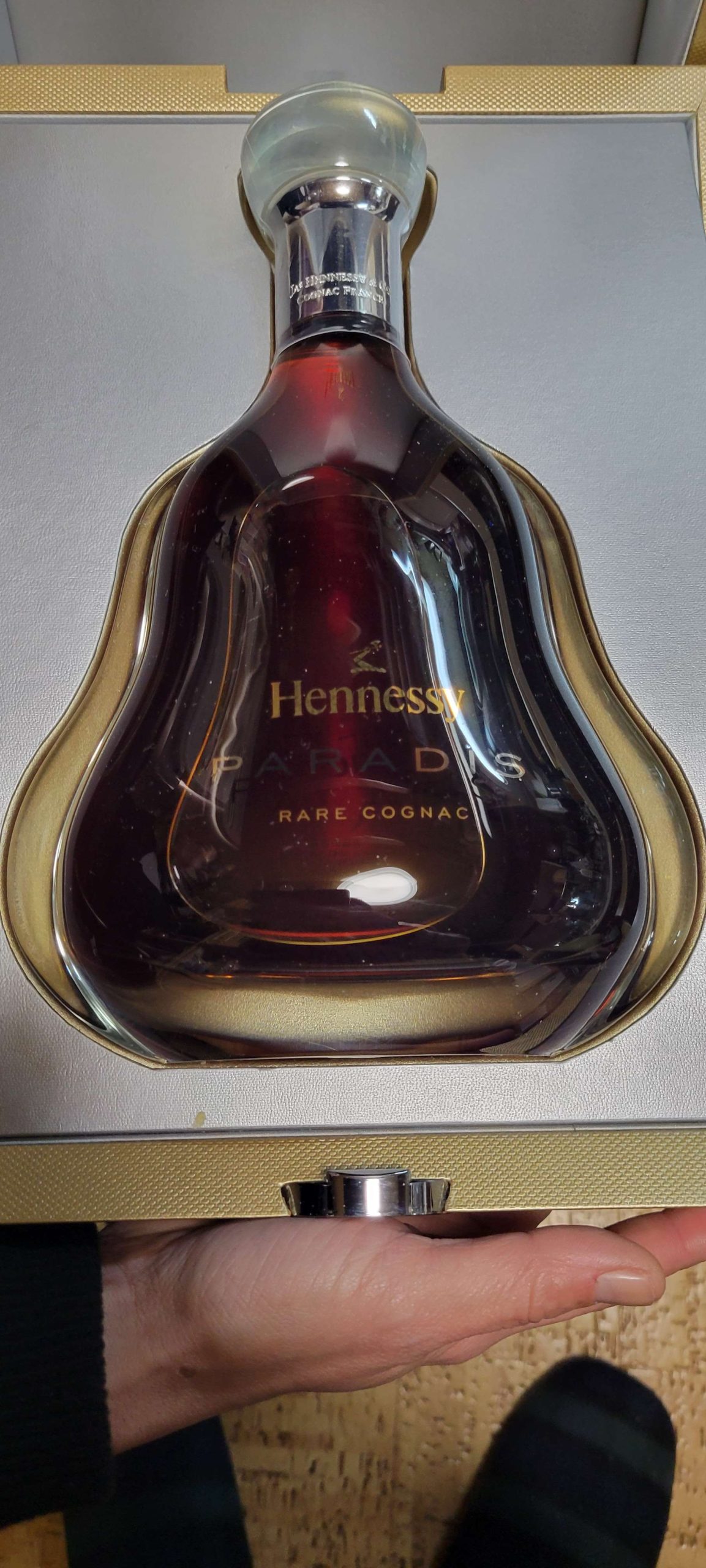 ヘネシーパラディ