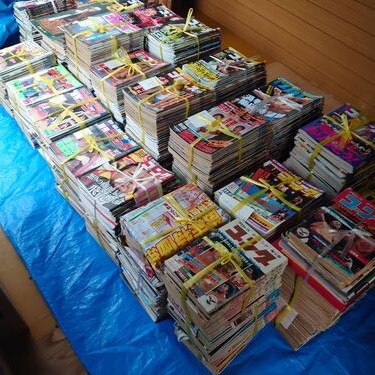 週刊プロレス、週刊ゴング