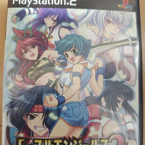 レッスルエンジェルス2