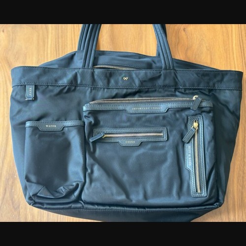 アニヤハインドマーチ バッグ