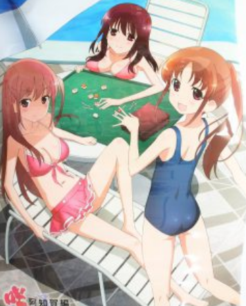 咲-Saki- 阿知賀編 episode of side-A BD/DVDソフマップ全巻購入特典 B2クリアポスター