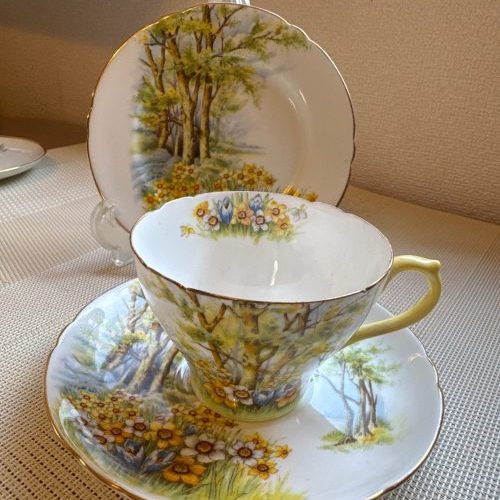 Shellyカップ＆ソーサー