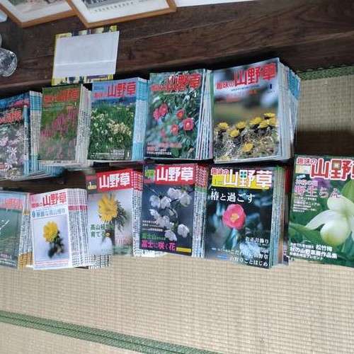 趣味の山野草　319冊