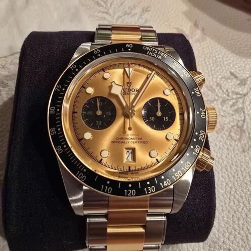 チューダー ブラックベイ 79363N