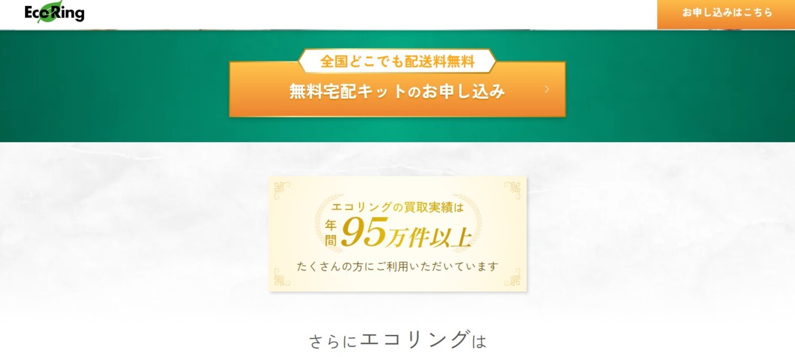 エコリングサイト画像