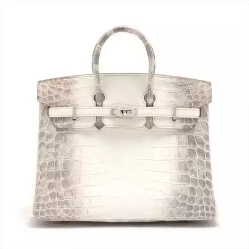 バーキン25 ニロティカスマット ヒマラヤの画像