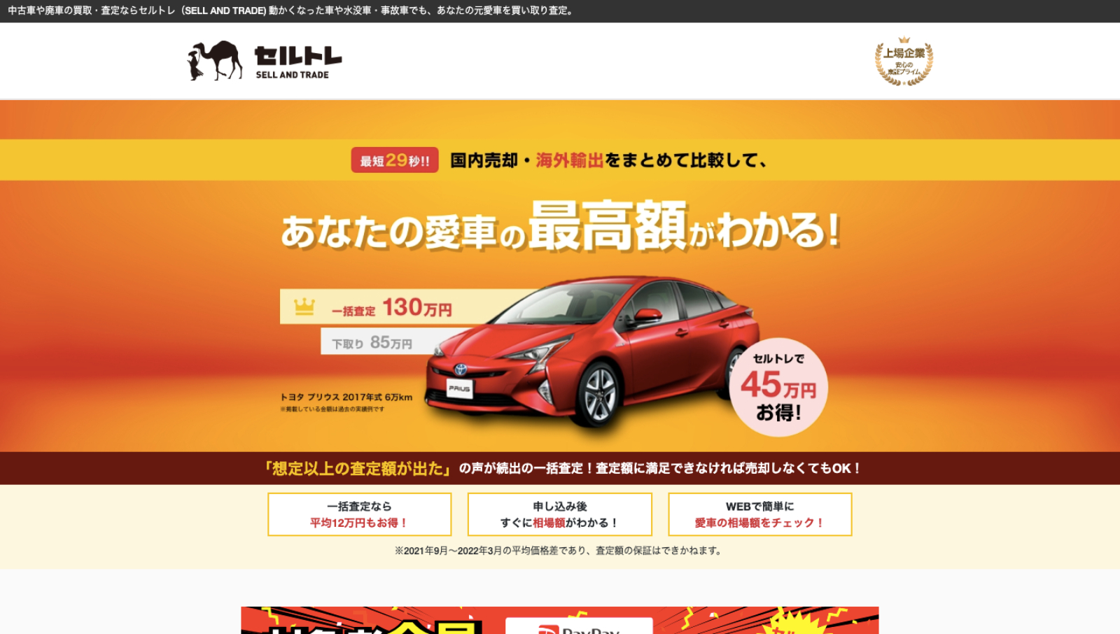 セルトレの画像