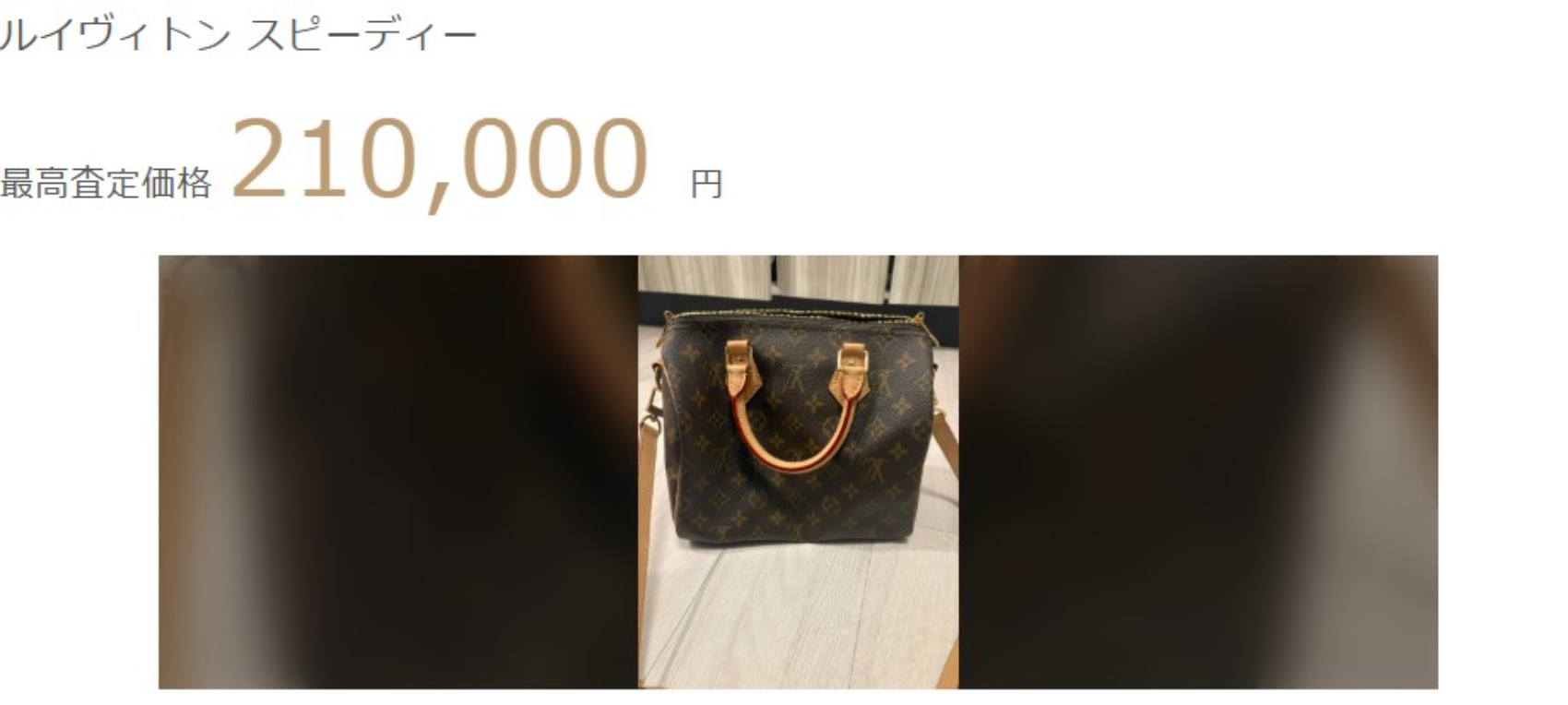 ルイヴィトン スピーディーの最高査定価格21万円の画像