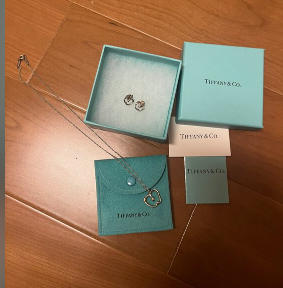 ティファニーアップル　ピアス　ネックレスの画像