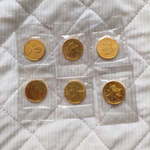 メープルリーフ金貨 1/2oz✕6