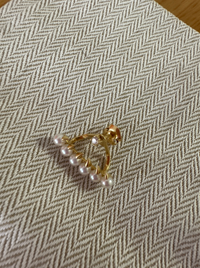 デインジャー シングルピアス