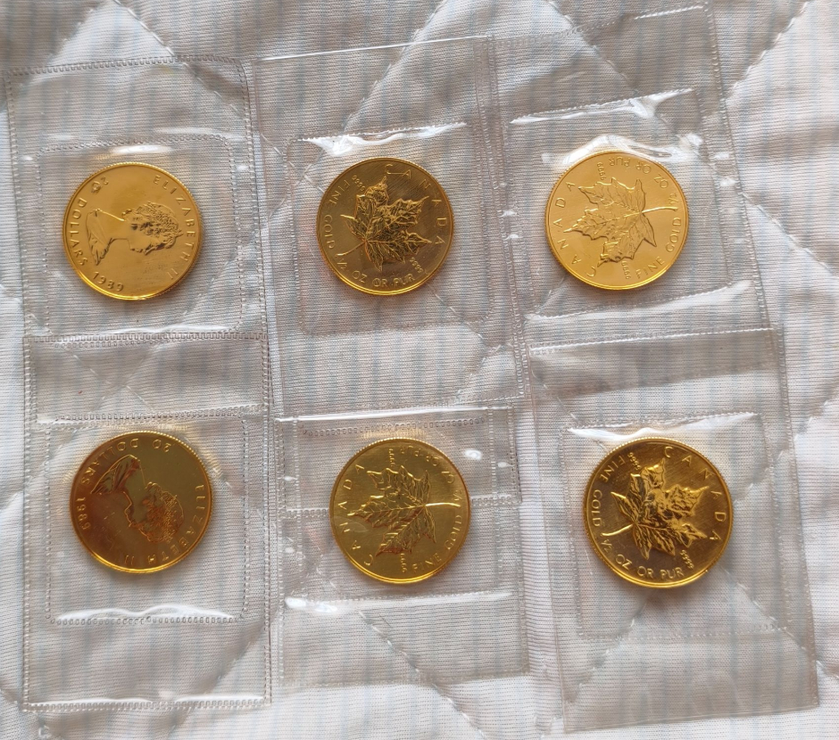 メープルリーフ金貨 1/2oz✕6