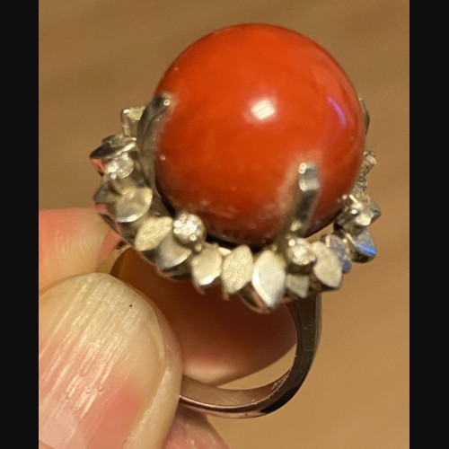 血赤珊瑚リング デザインは井伏鱒二の息子作家物