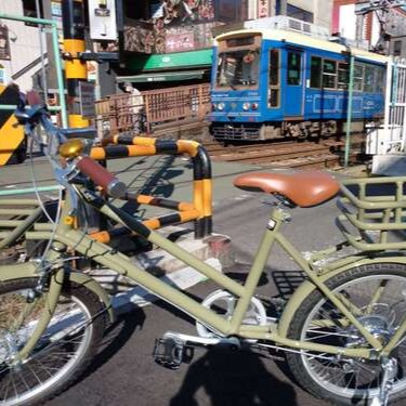 WACHSEN(ヴァクセン) 20インチ カーゴバイク 6段変速 colot W