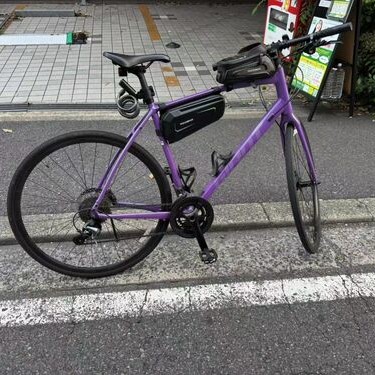 GIANT Escape RX 1 Disc