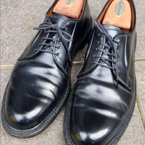 Alden オールデン BEAMS別注 9901 コードバン プレーントゥ