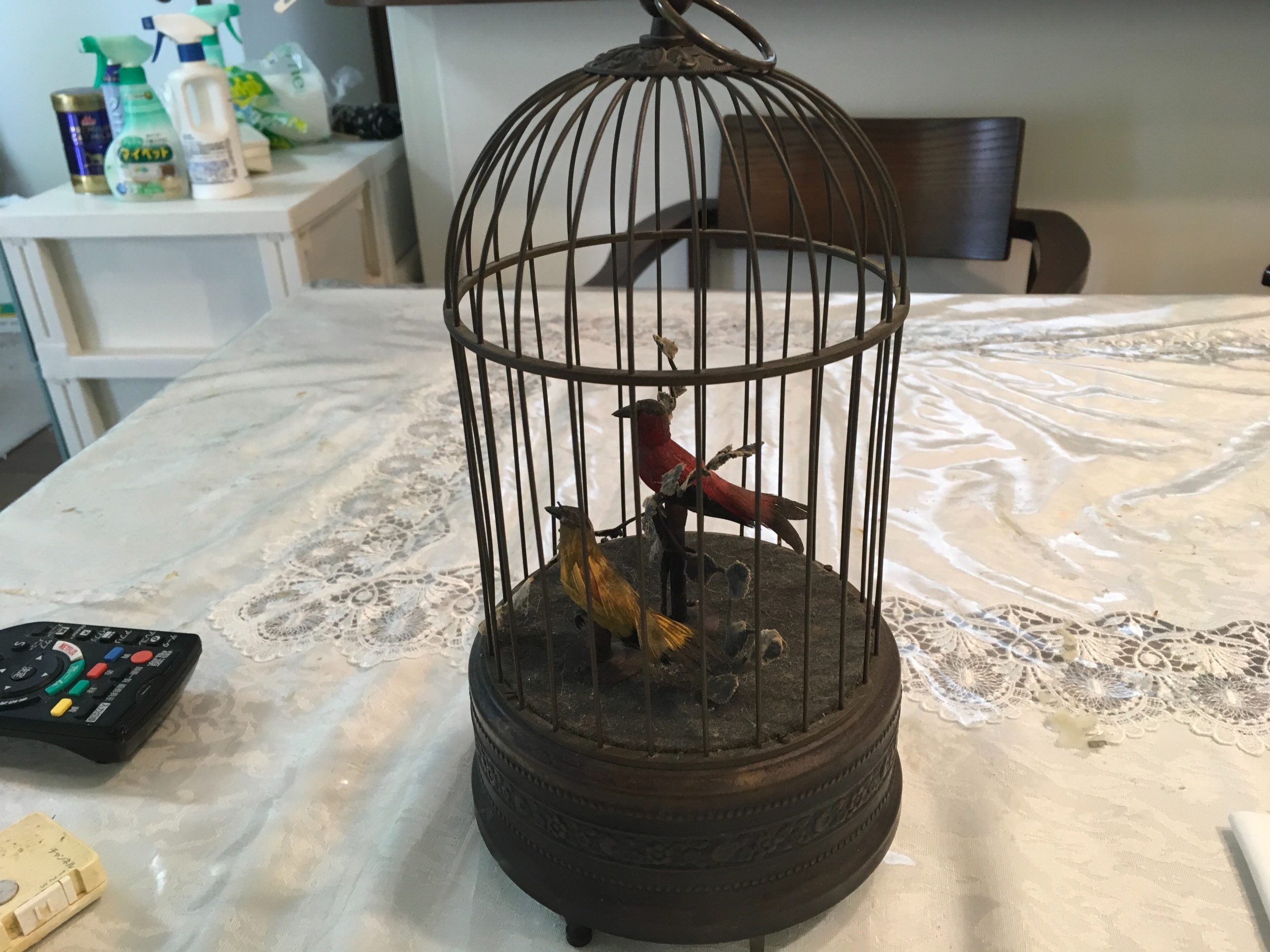 シンギングバード