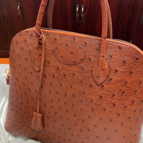 ボリード35 オーストリッチ