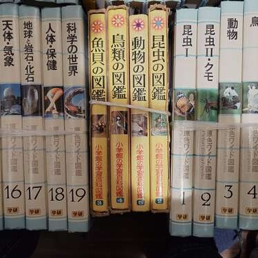 原色ワイド図鑑