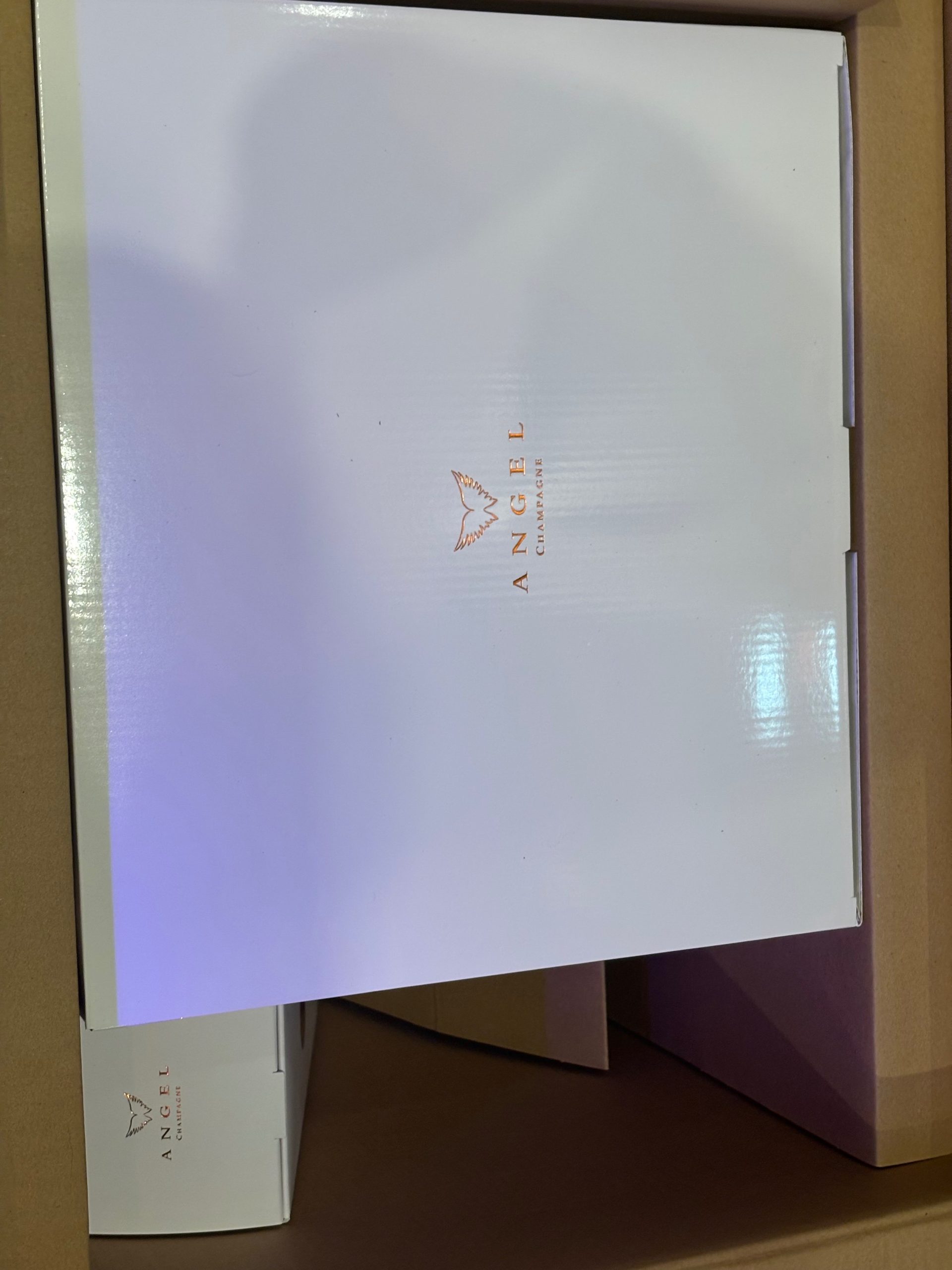 エンジェル エッグ オレンジ