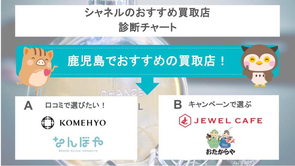 診断チャートの画像