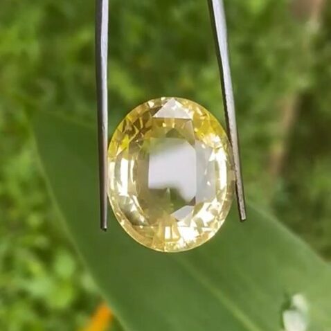 イェロー サファイア