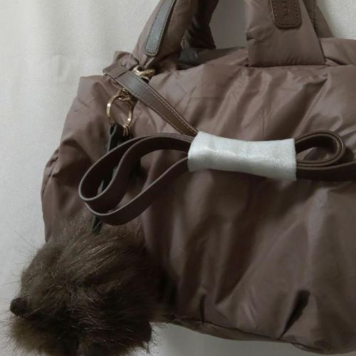 シーバイクロエ