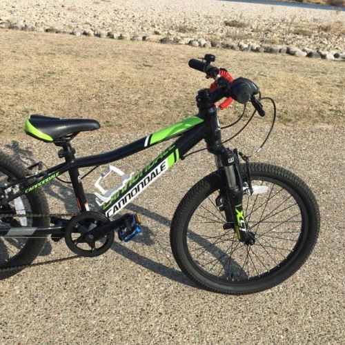 キャノンデール トレールボーイ20