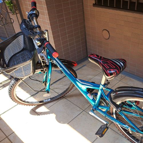 1A342E0 BRIDGESTONE エクスプレスジュニア24インチ