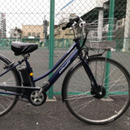 BRIDGESTONE アルベルトe L型