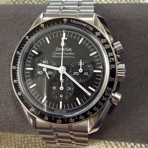 ムーンウォッチ プロフェッショナル 42 mm ステンレススティール