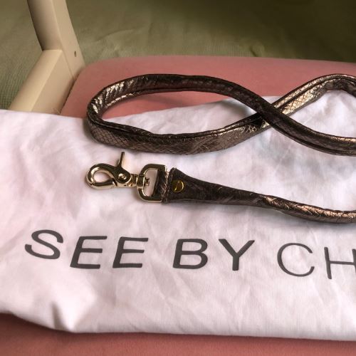 シーバイクロエ