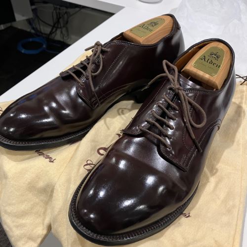 オールデン　53501