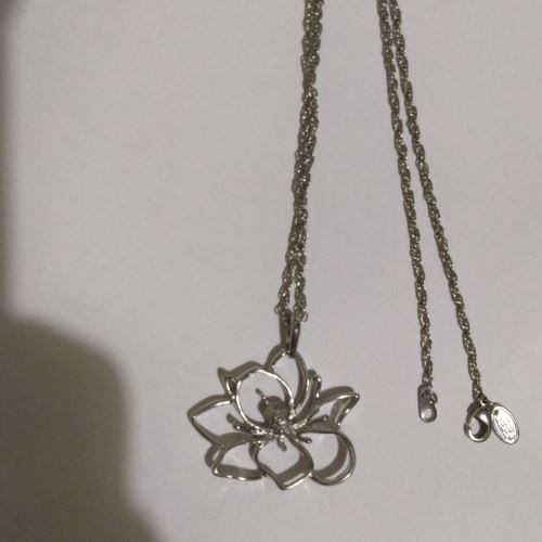 フォリフォリネックレス