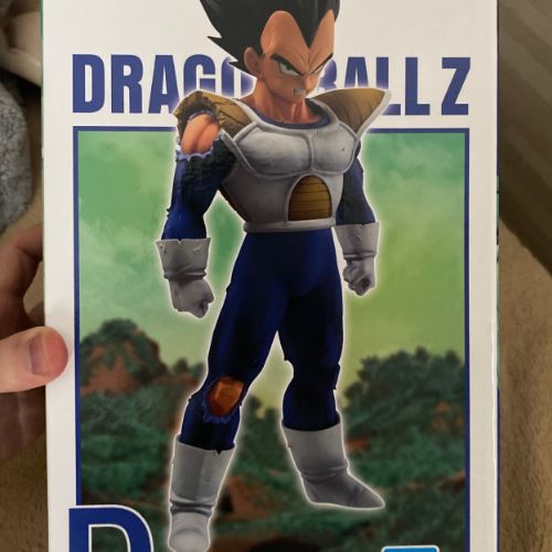 ベジータ　MASTERRISE D賞