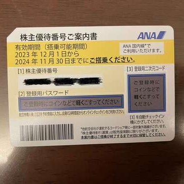 ANA株主優待券　2024.11.末