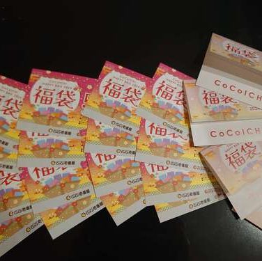 CoCo壱番屋　お食事補助券