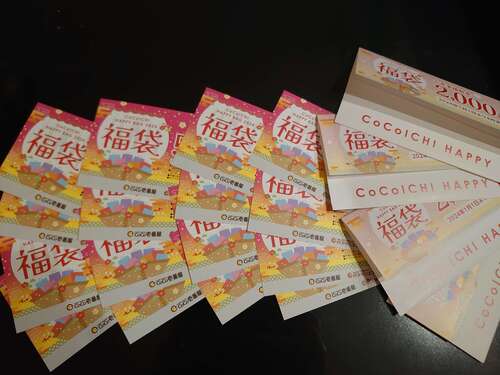 CoCo壱番屋　お食事補助券